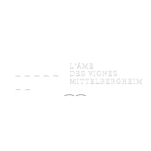 Gîte l'âme des Vignes Mittelbergheim